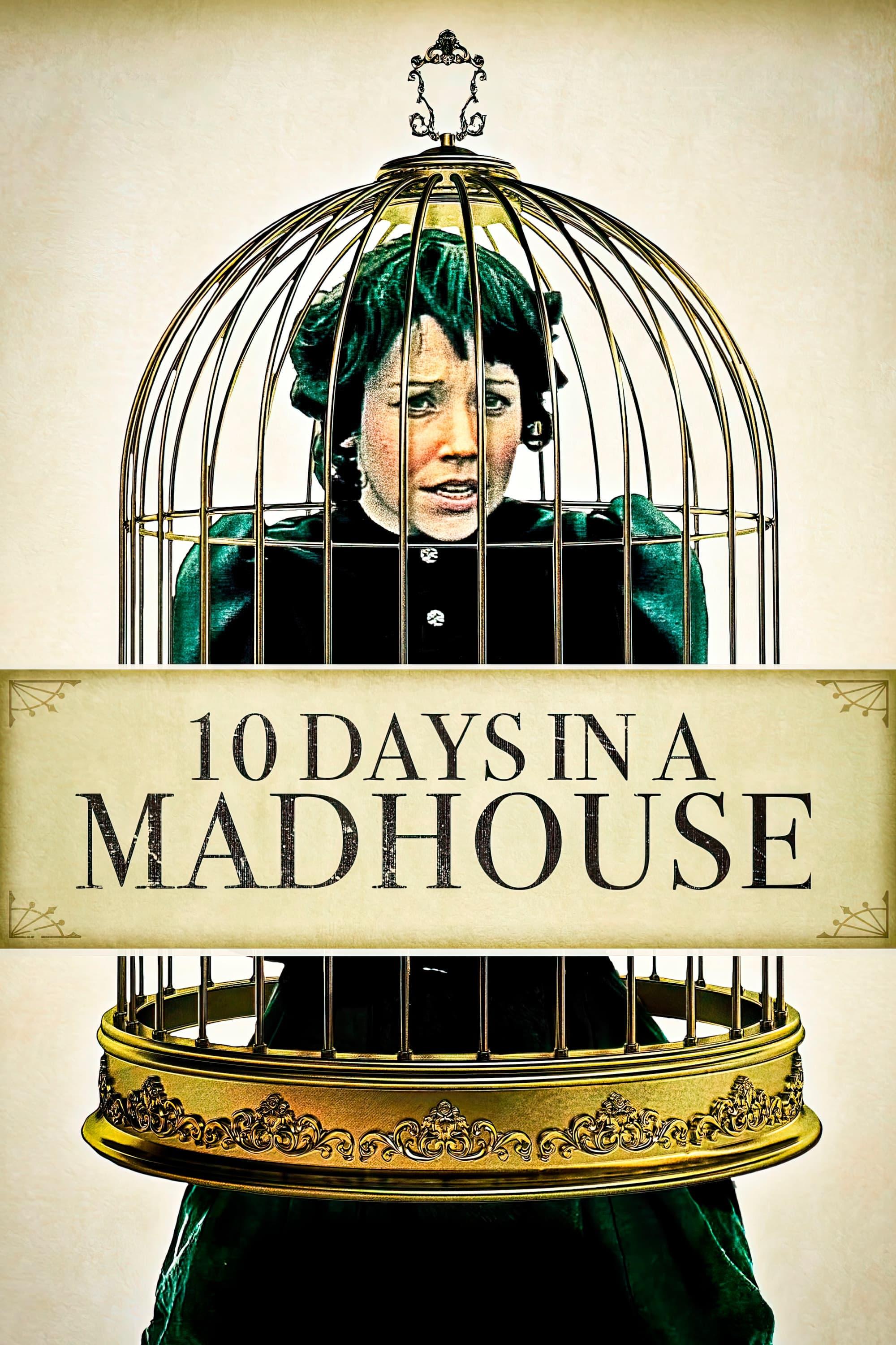 10 Days in a Madhouse poster