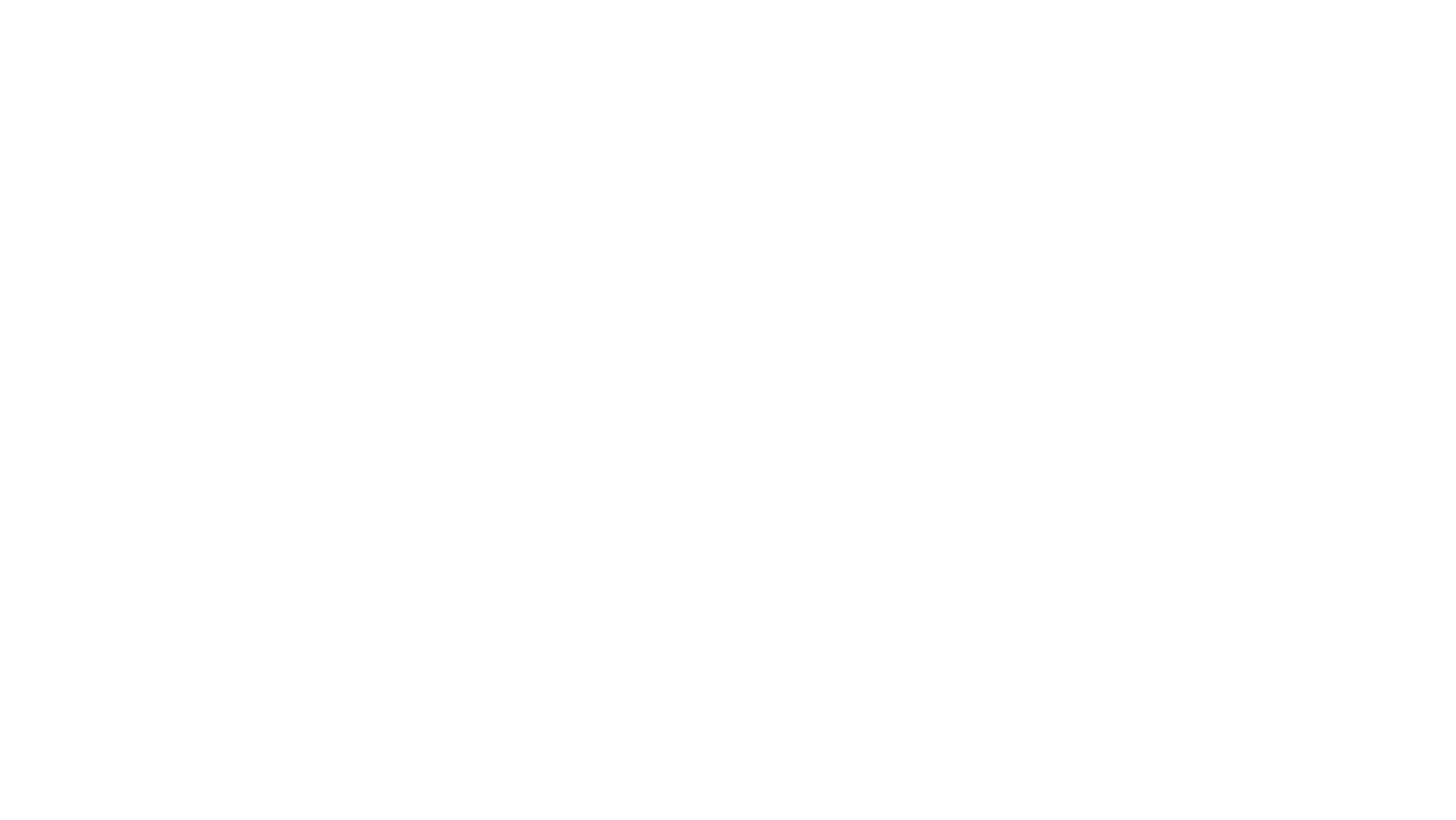 Commander Fort logo