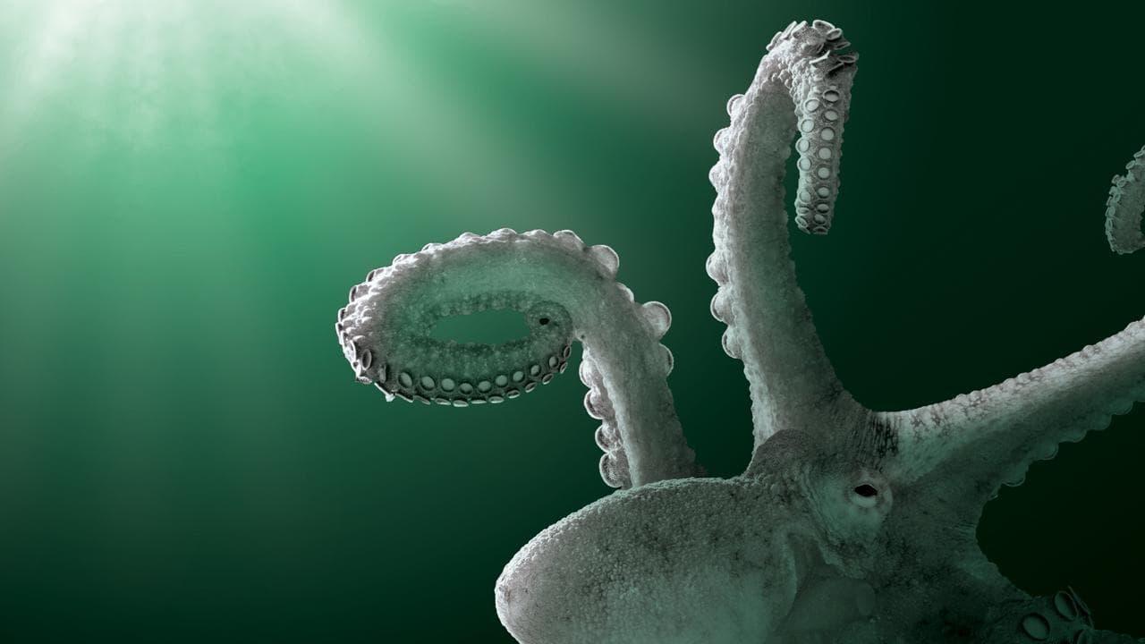 Aliens of the Deep Sea backdrop