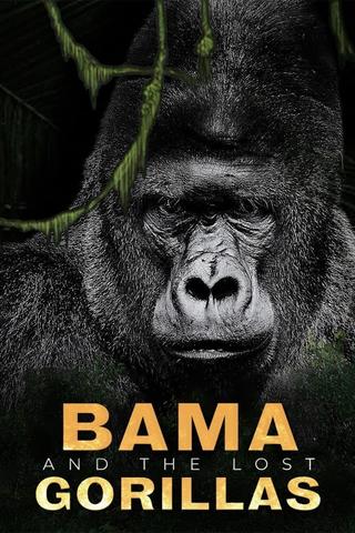 Bama and the Lost Gorillas poster