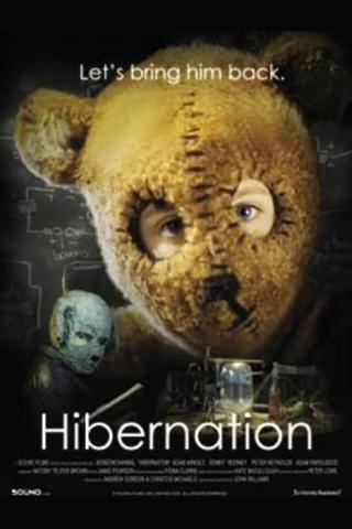 Hibernation poster