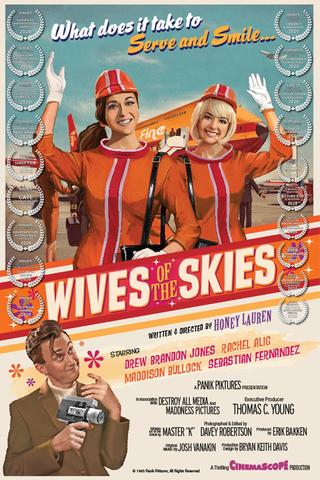Wives of the Skies poster