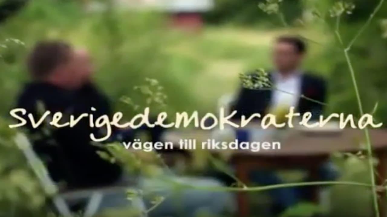 Sverigedemokraterna - vägen till riksdagen backdrop