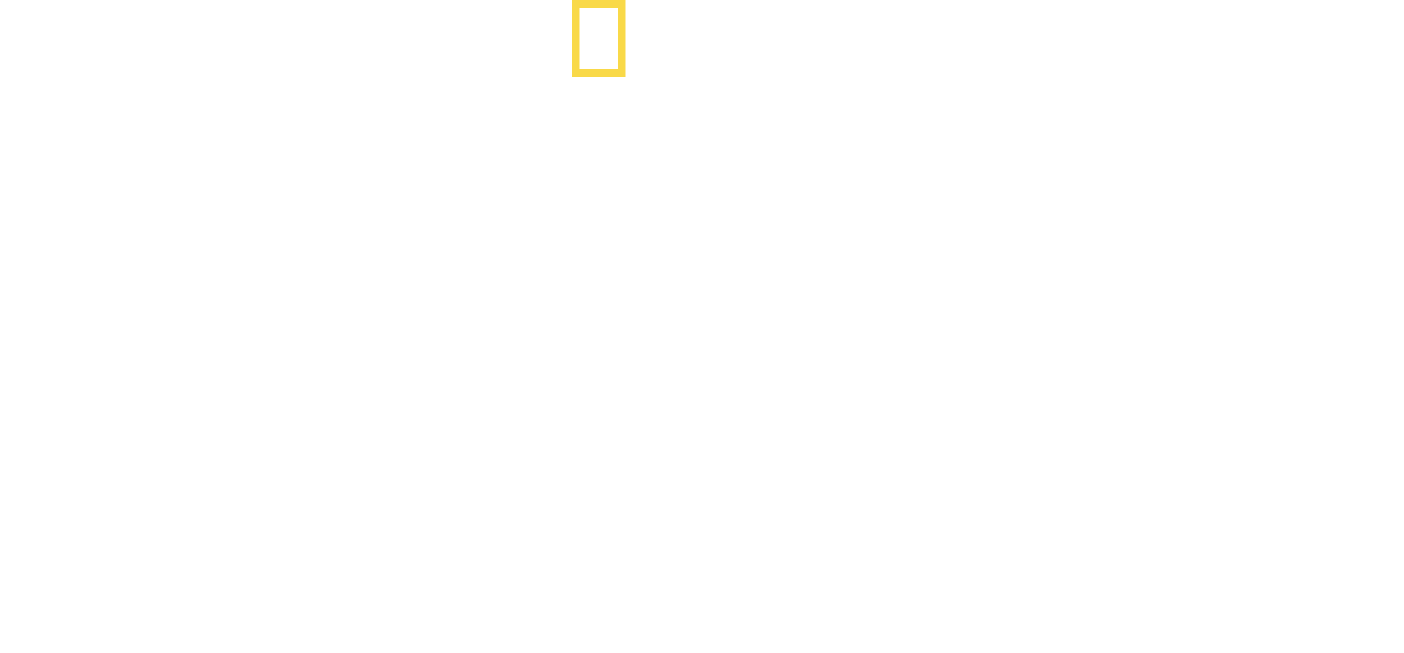 Inside the Hunt for the Boston Bombers logo