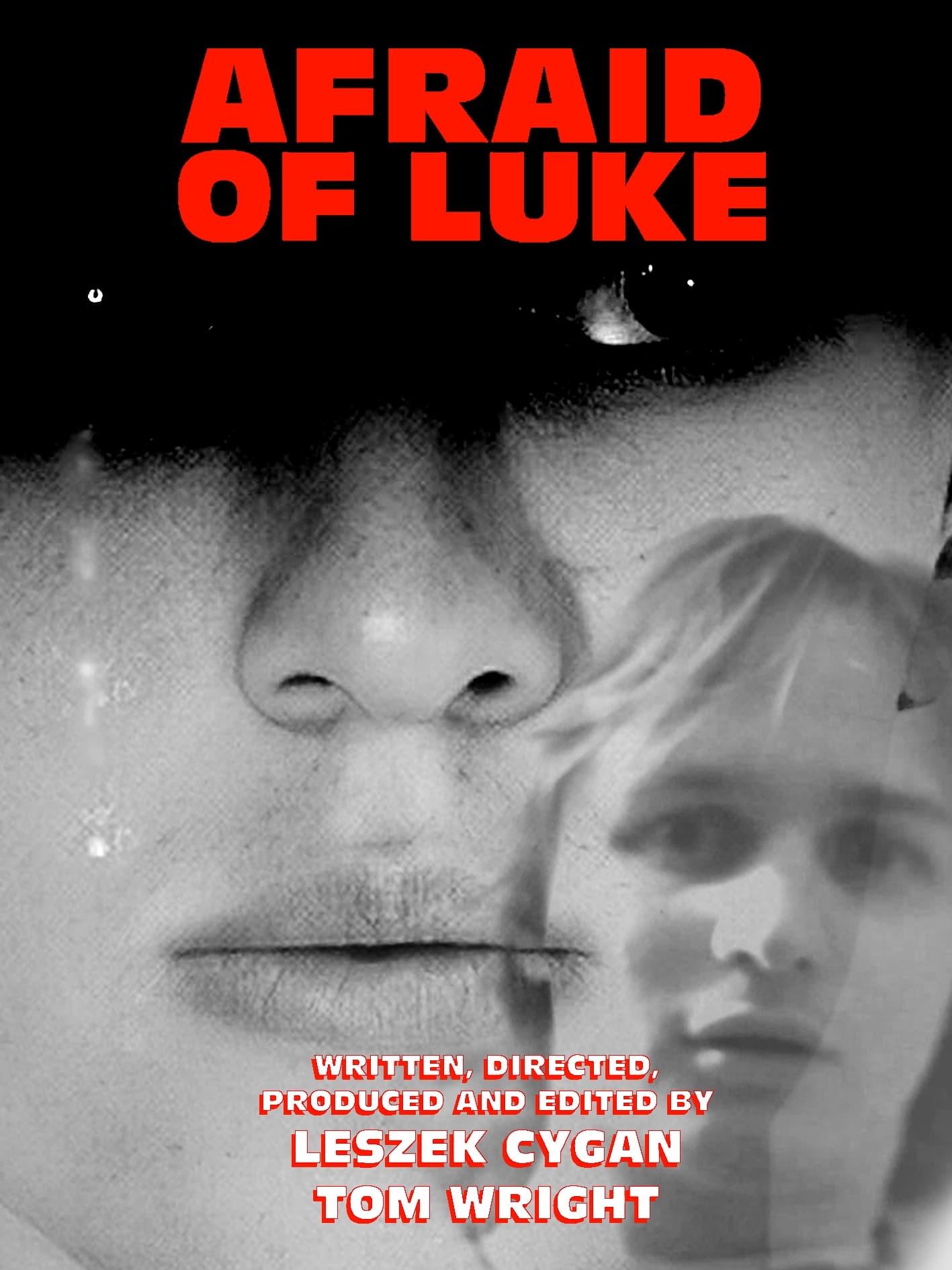 Afraid of Luke poster