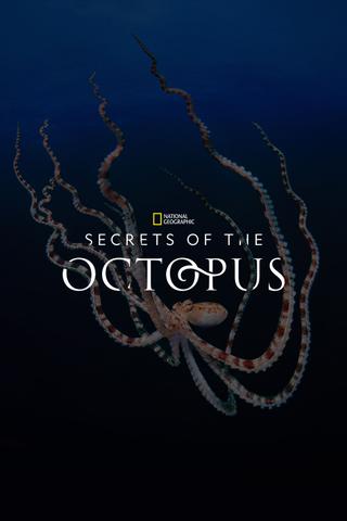 Secrets of the Octopus poster