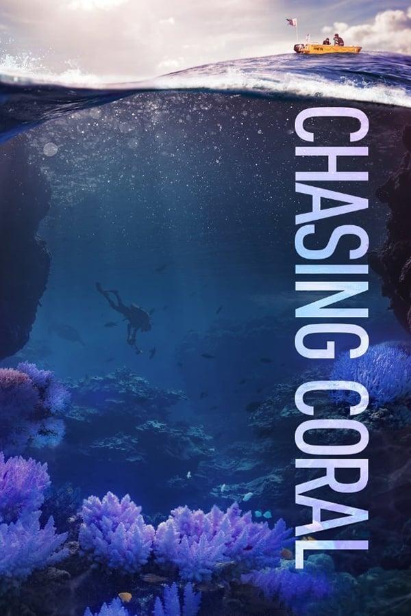 Chasing Coral poster