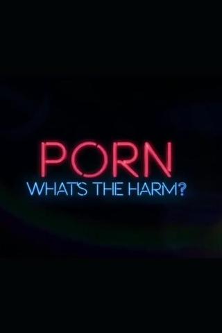 Porn: Whats the Harm poster