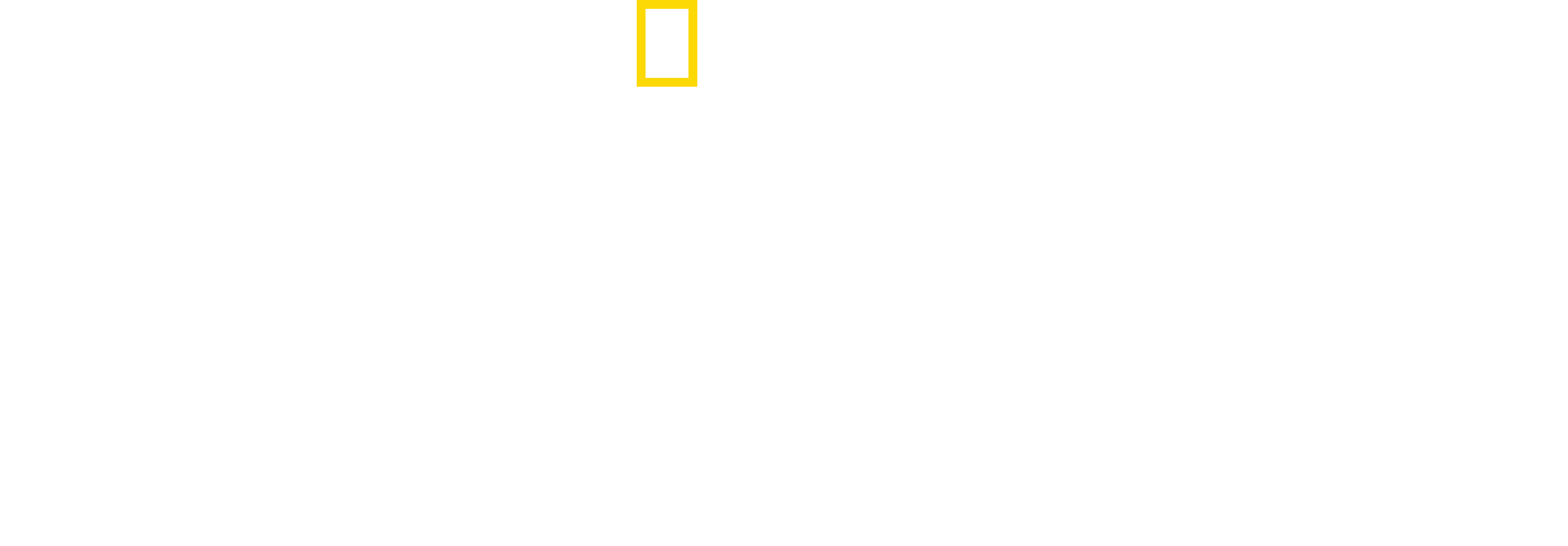 Patagonia Wings logo