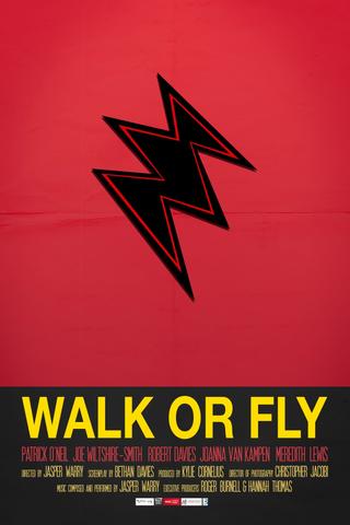 Walk or Fly poster