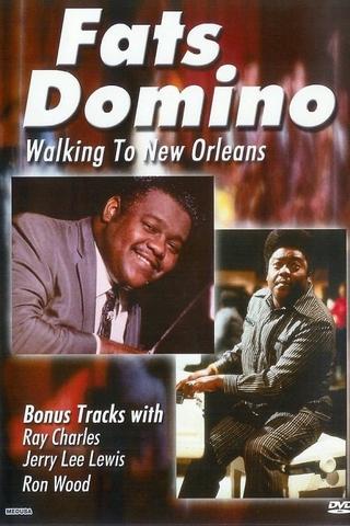 Fats Domino: Walking to New Orleans poster