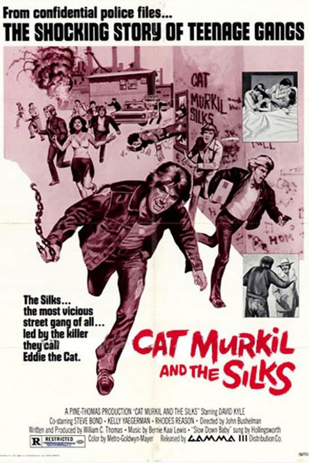Cat Murkil and the Silks poster