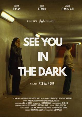 See You In The Dark poster