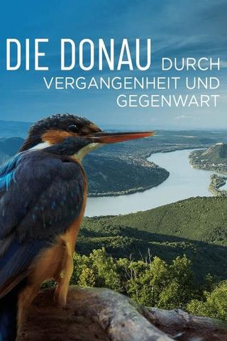 Die Donau – Durch Vergangenheit und Gegenwart poster