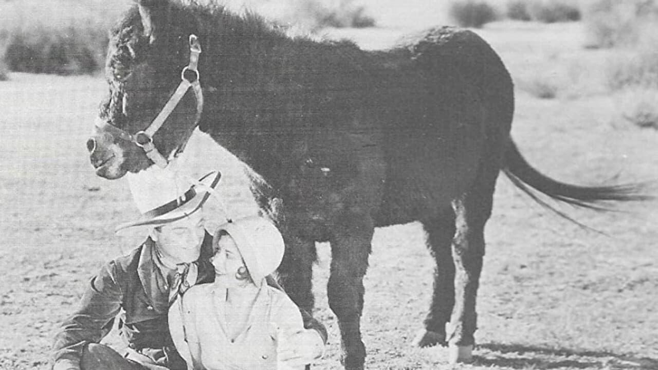 In Old Cheyenne backdrop