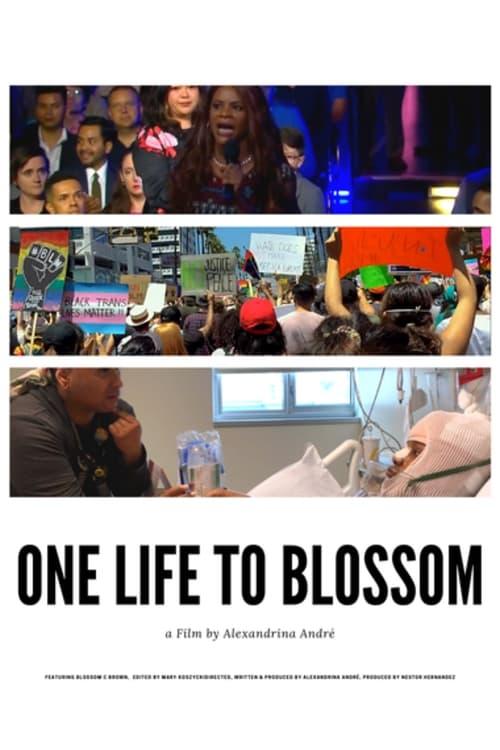 One Life To Blossom poster