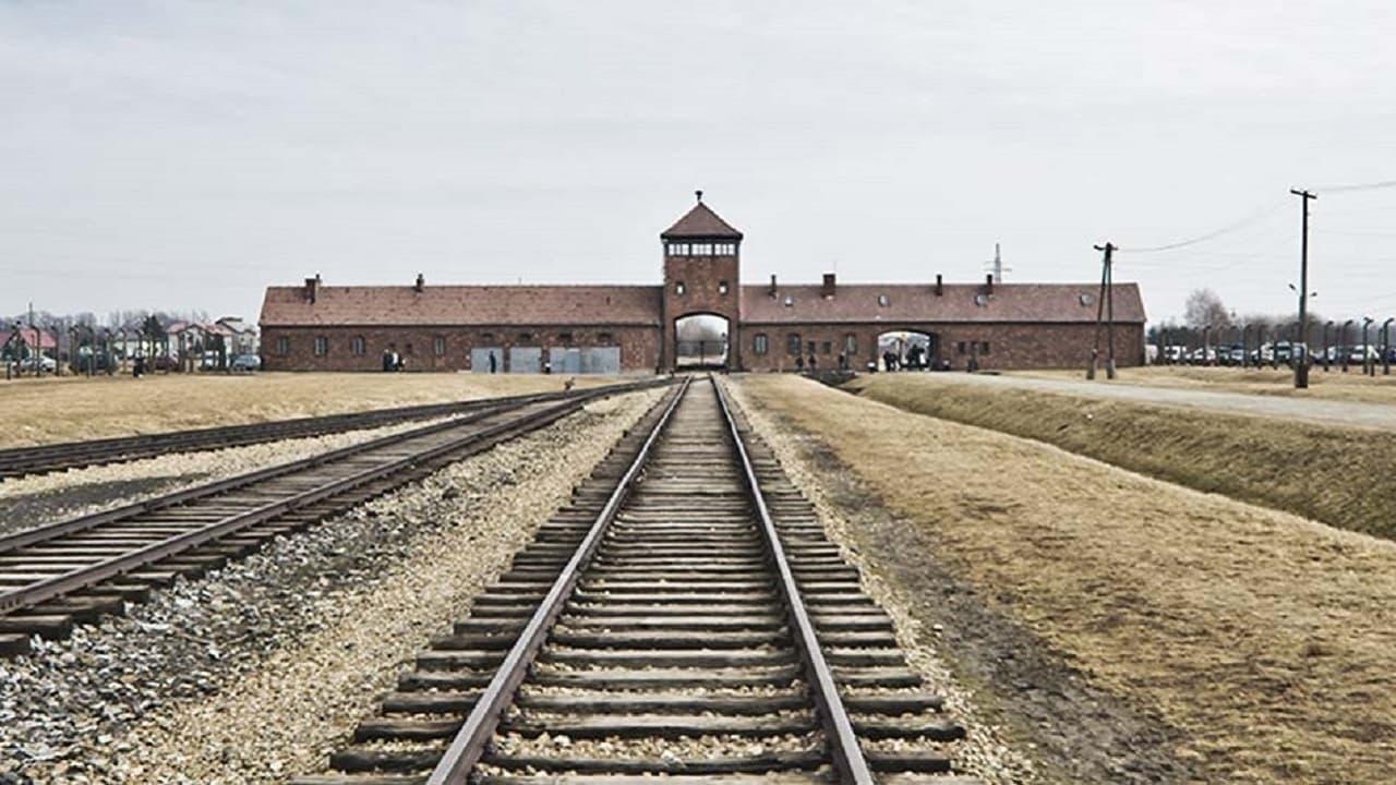 Auschwitz Projekt backdrop