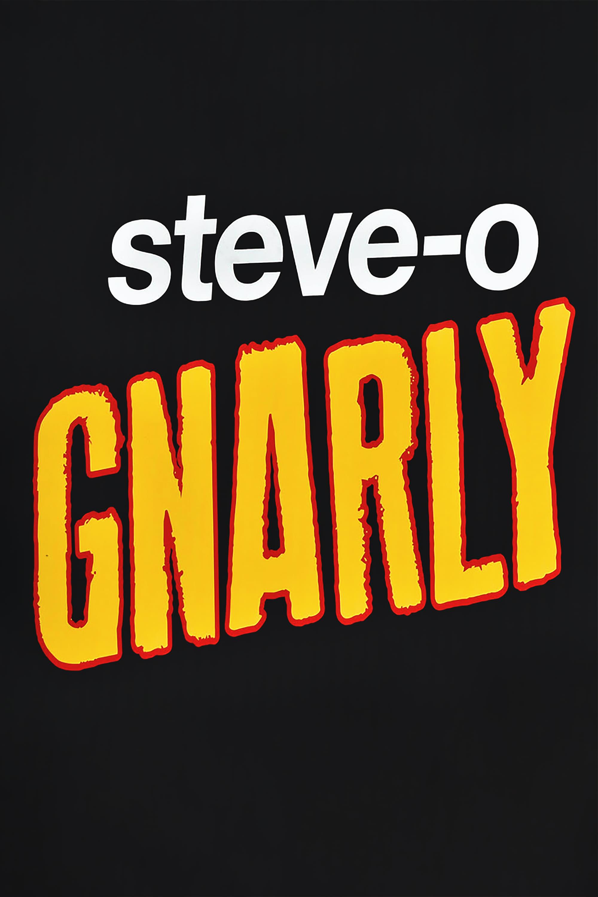 Steve-O: Gnarly poster