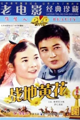 战地黄花 poster