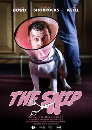 The Snip poster