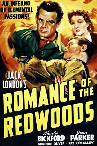 Romance of the Redwoods poster