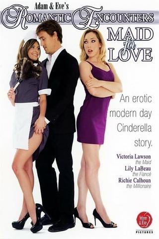 Romantic Encounters: Maid For Love poster