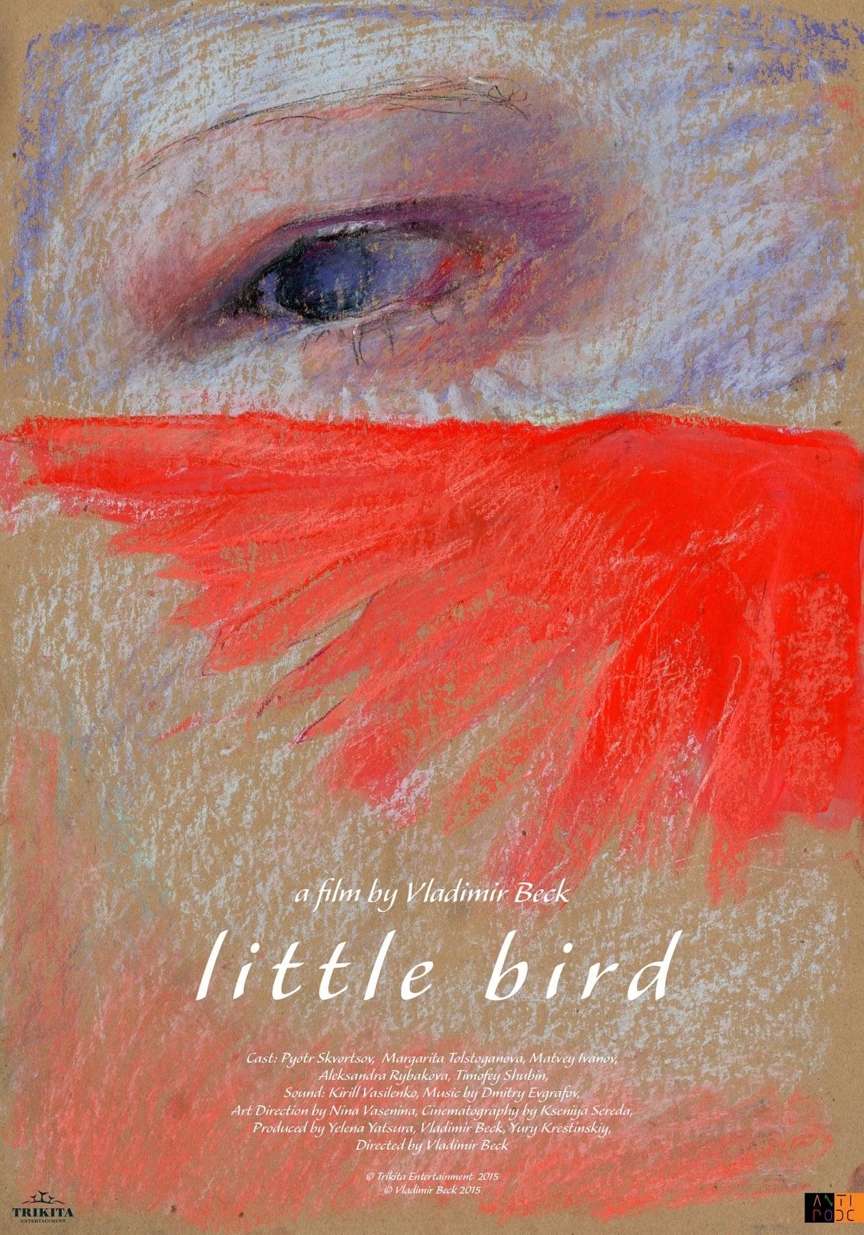 Little Bird poster