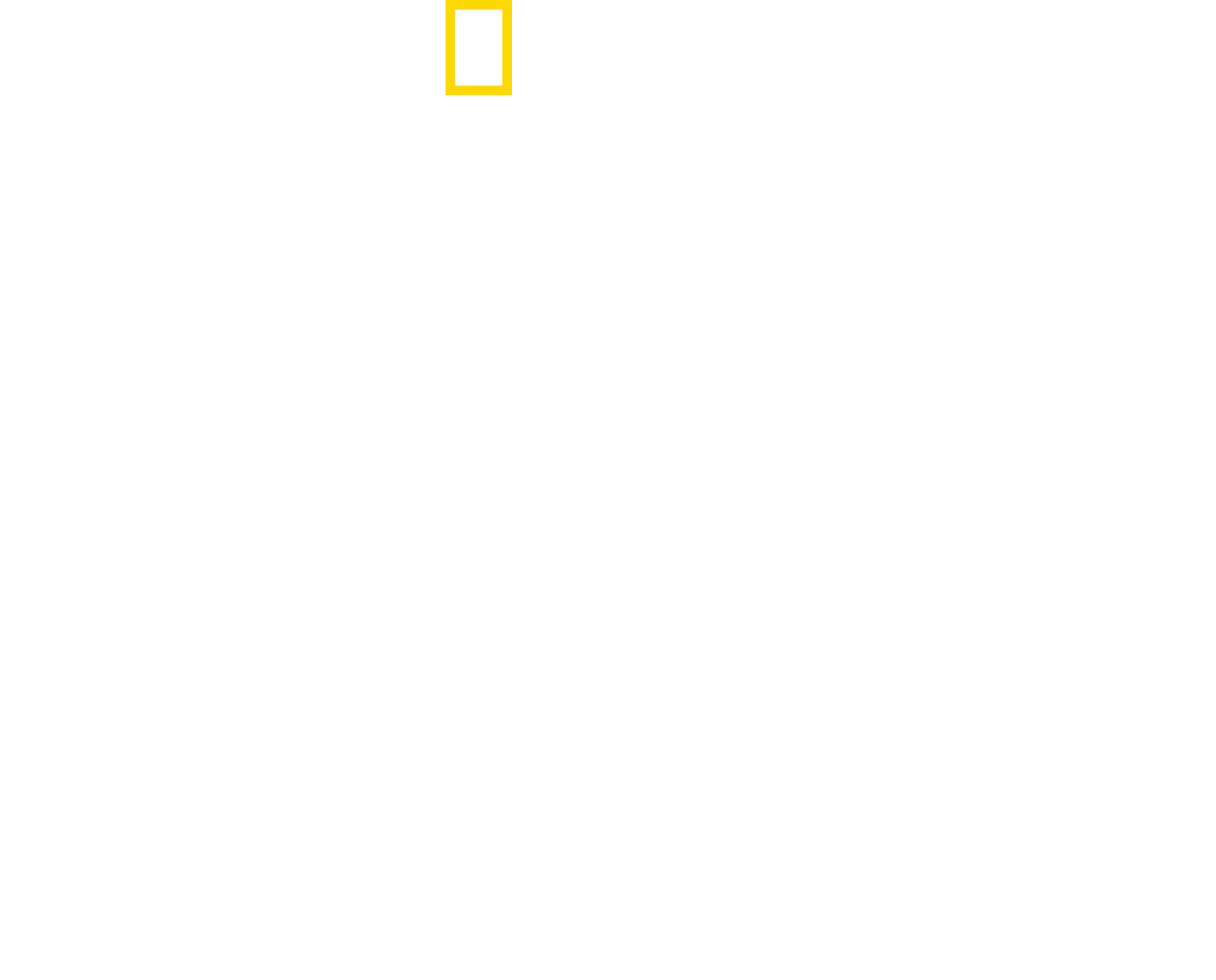 Das Reich: Hitler's Death Squads logo