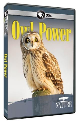 Owl Power poster