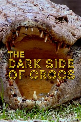 Dark Side of Crocs poster