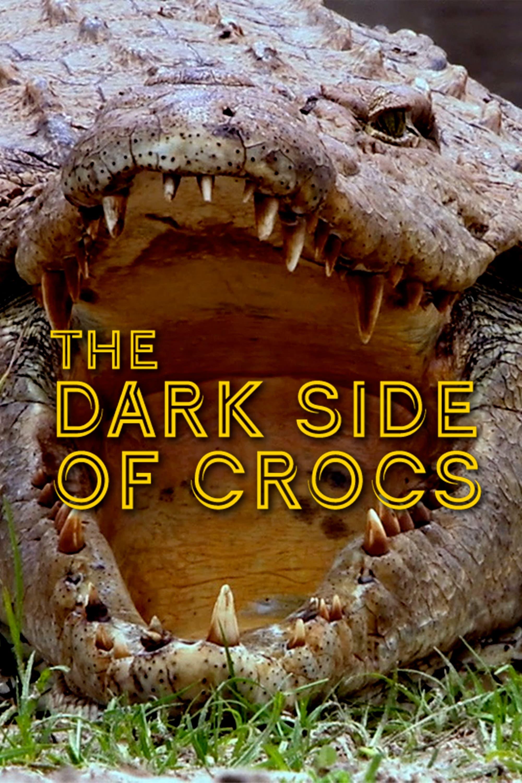 Dark Side of Crocs poster