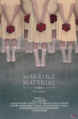Marriage Material poster
