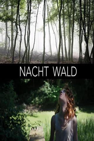 Nacht Wald poster