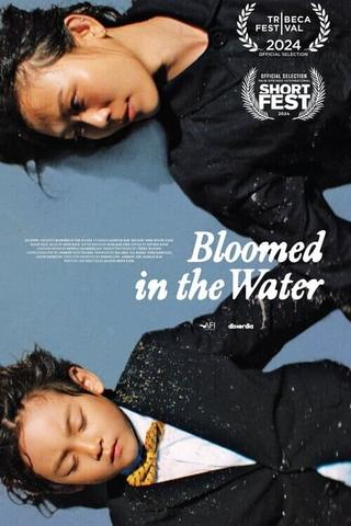 Bloomed in the Water poster