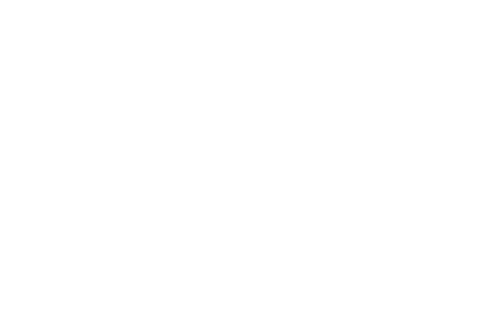 Raging Bull Shark logo