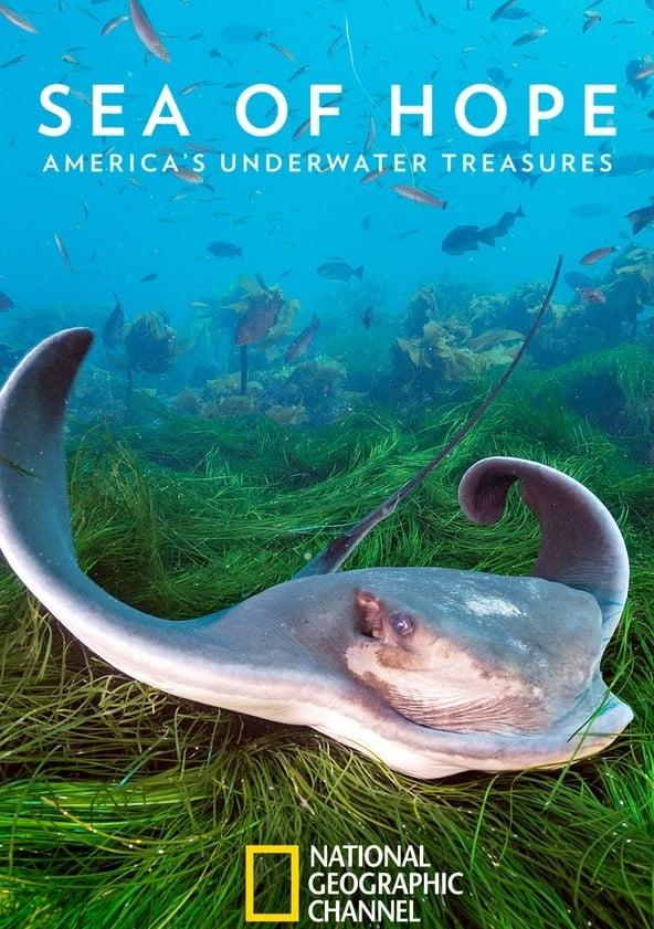 Sea of Hope: America's Underwater Treasures poster