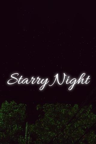 Starry Night poster