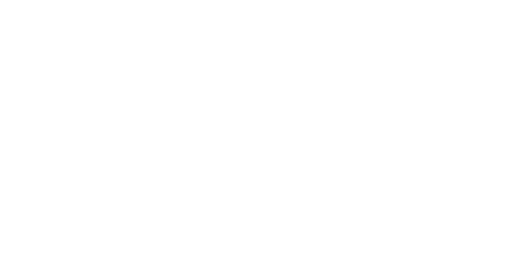 The Choe Show logo