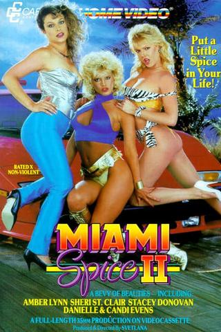 Miami Spice II poster
