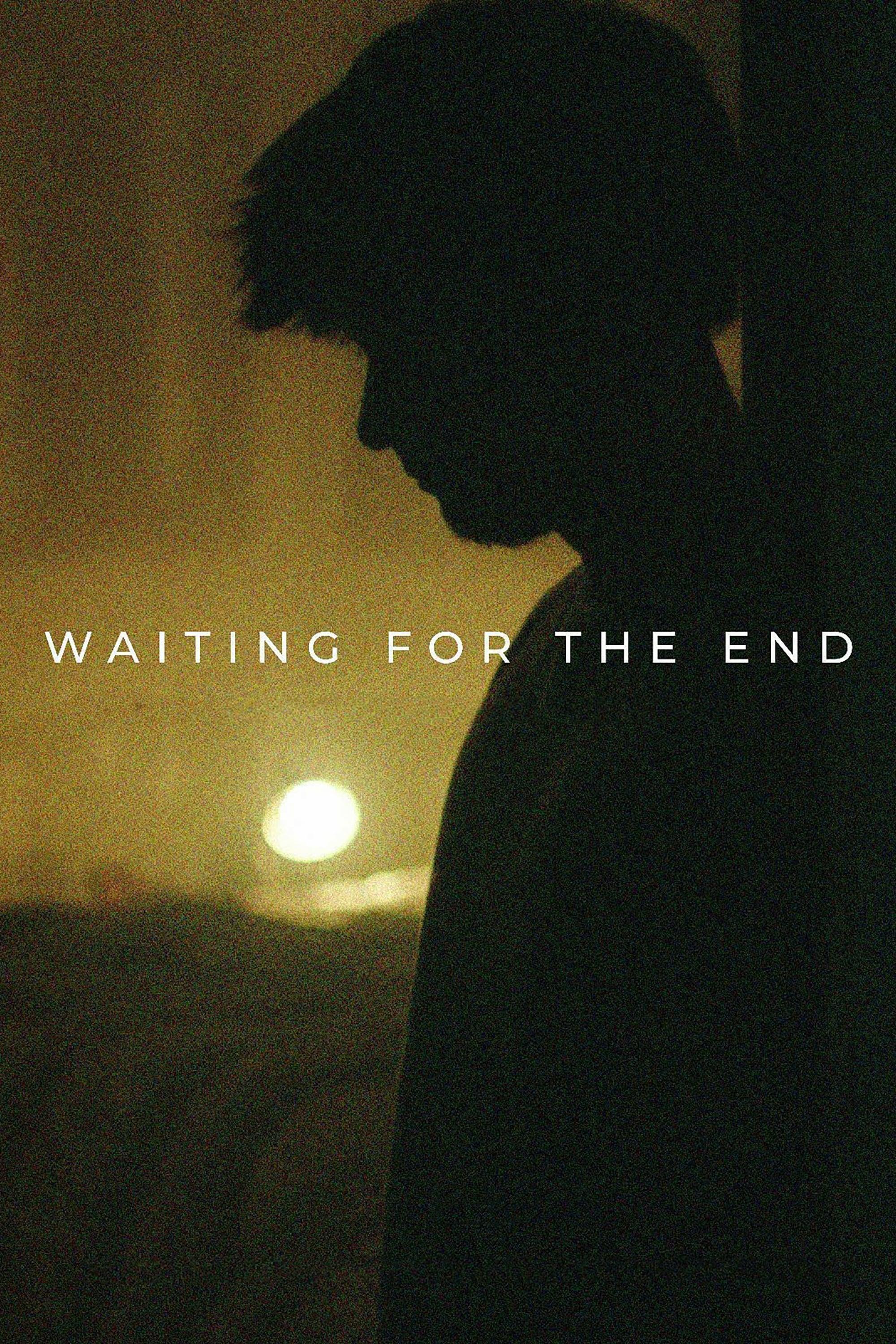 Waiting for the End poster