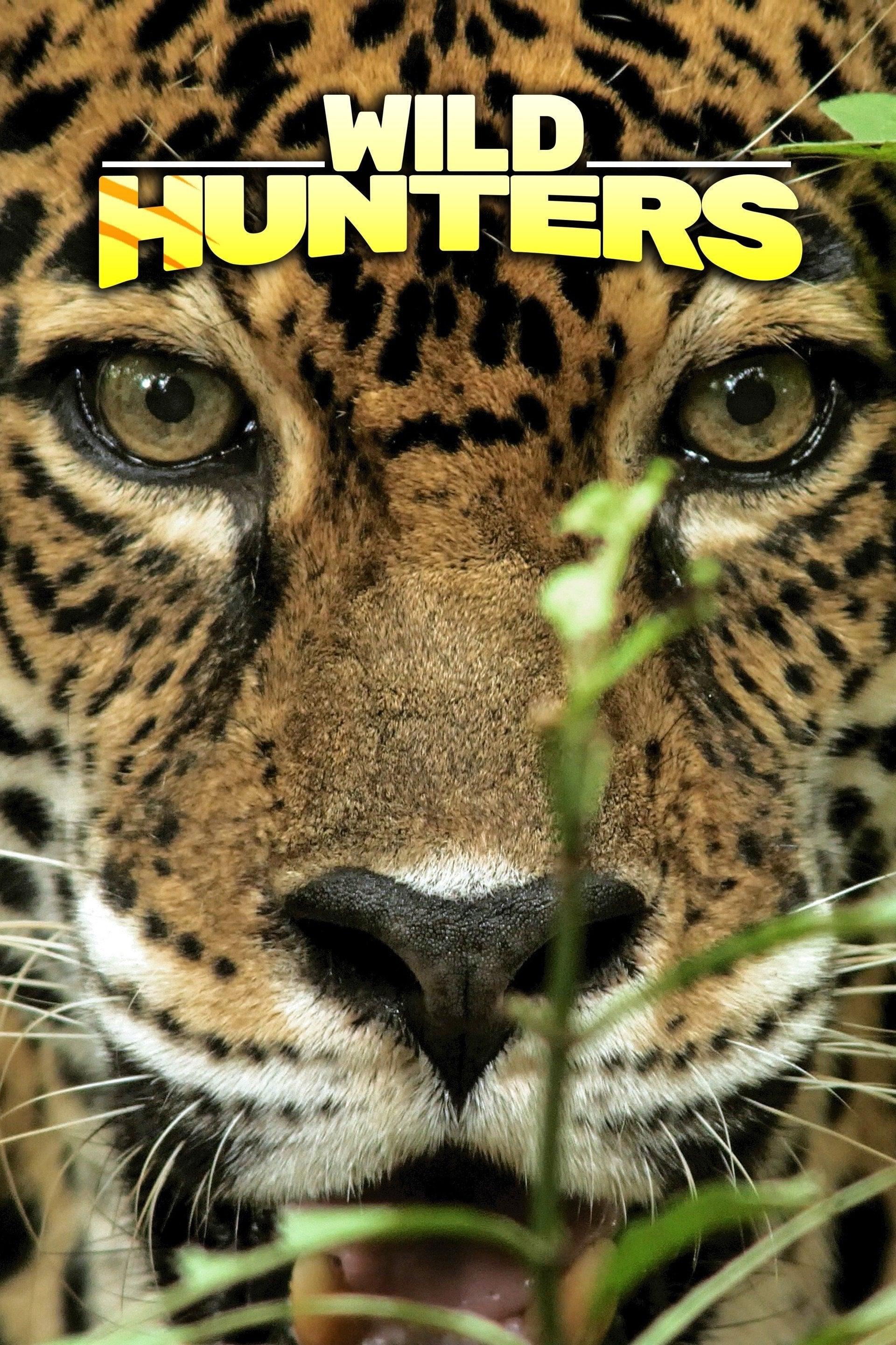 Wild Hunters poster