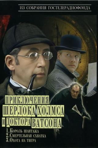 The Adventures of Sherlock Holmes and Dr. Watson poster