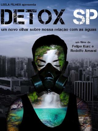Detox SP poster