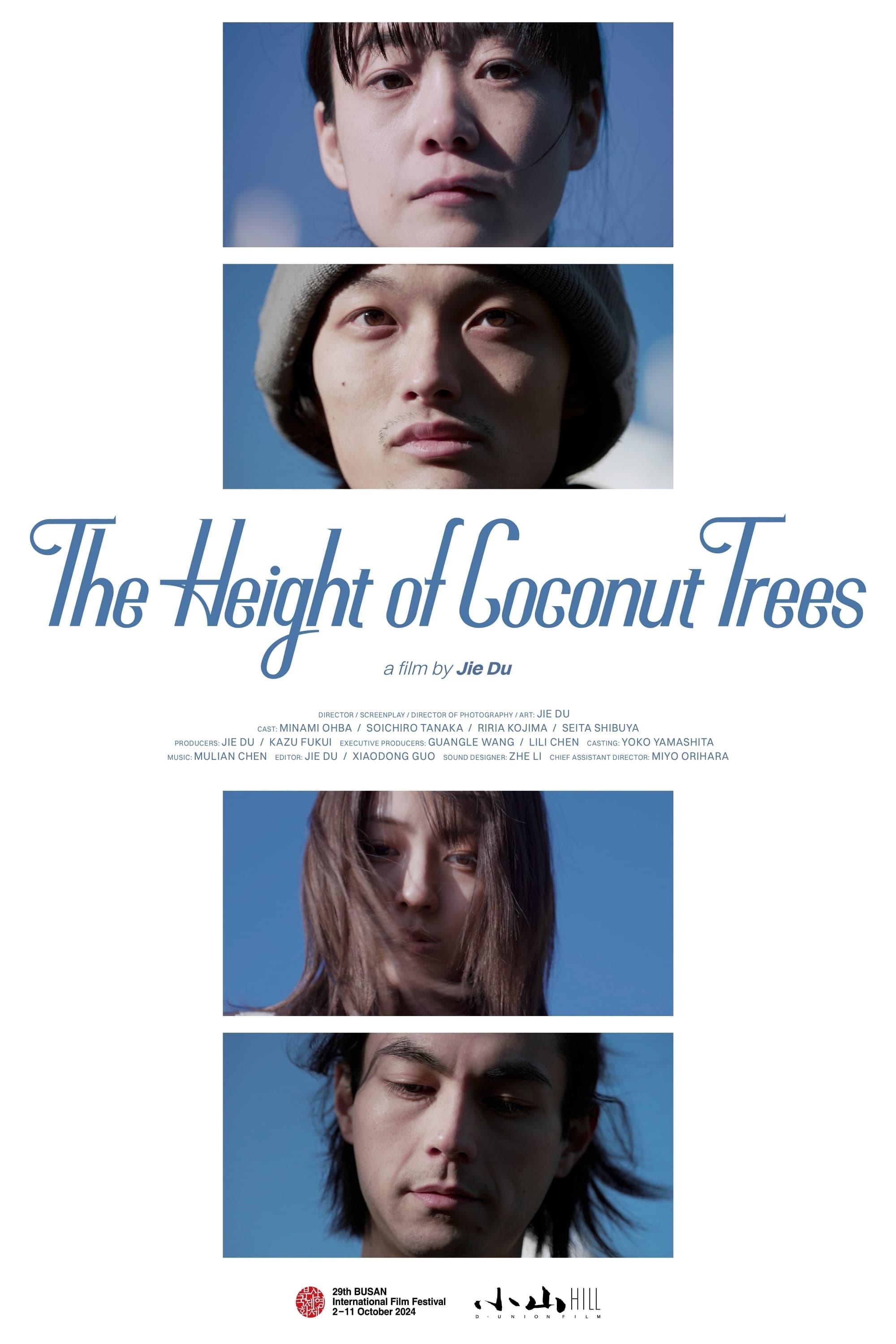 The Height of the Coconut Trees poster