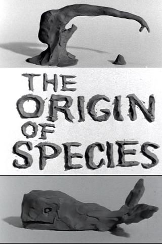 Clay or The Origin of Species poster