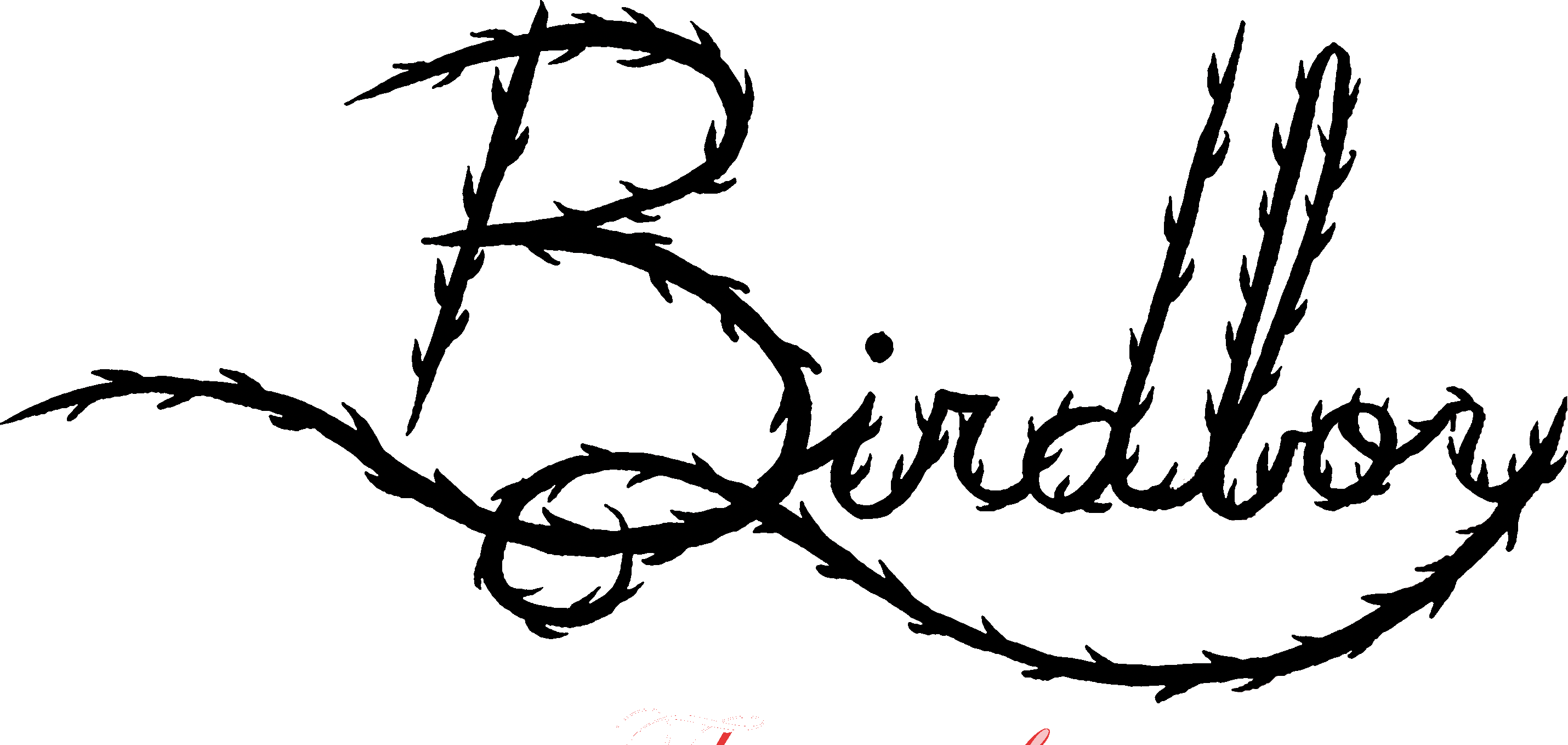 Birdboy logo