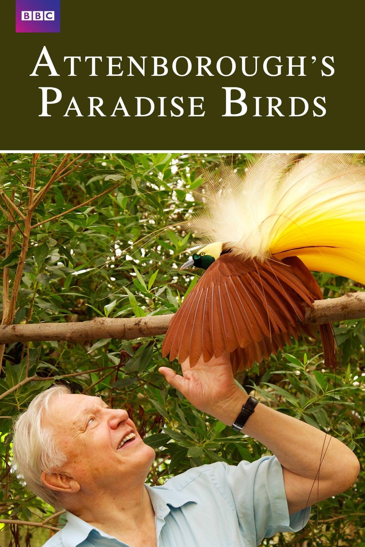 Attenborough's Paradise Birds poster