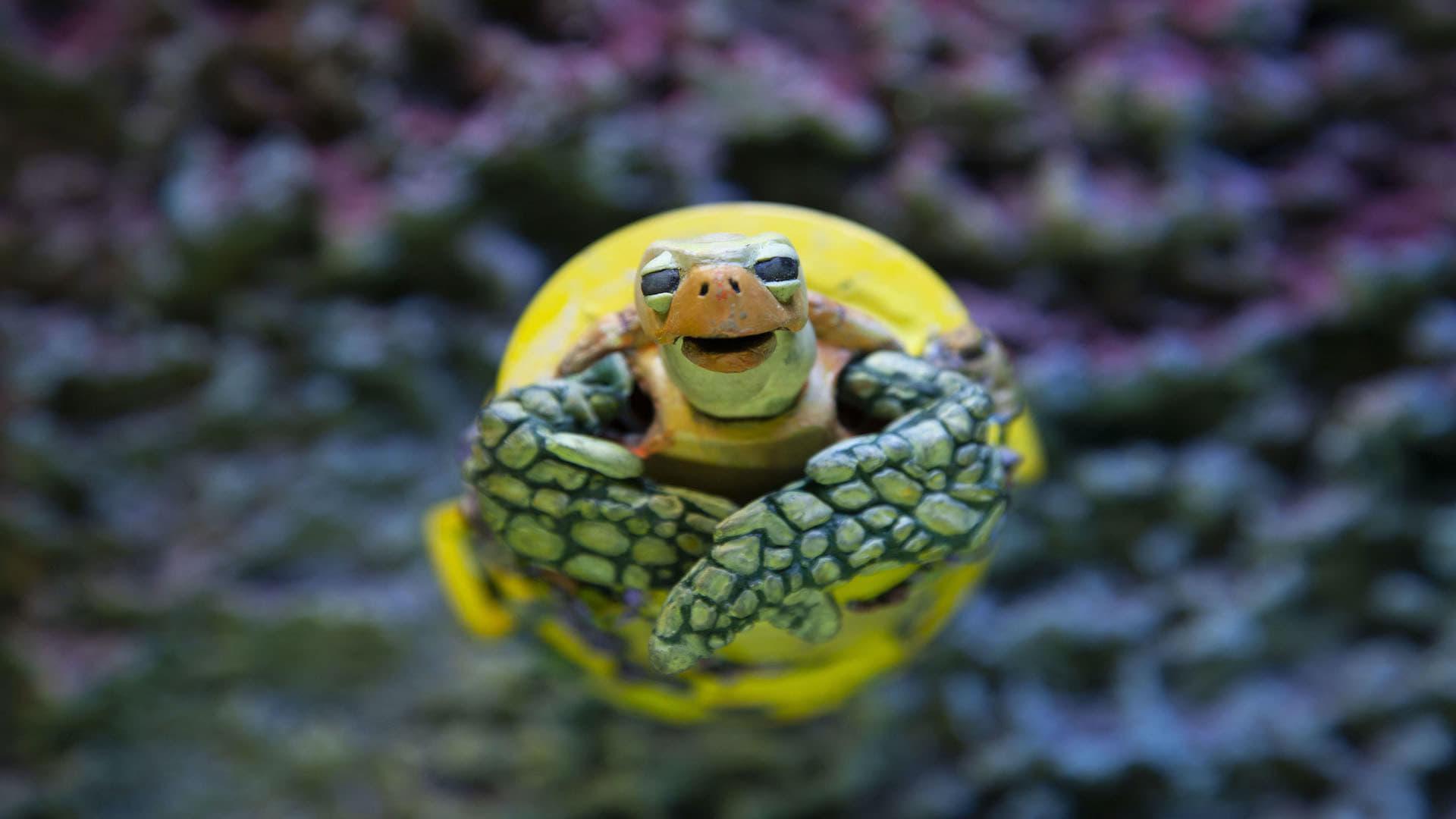 The Plastic Turtle backdrop