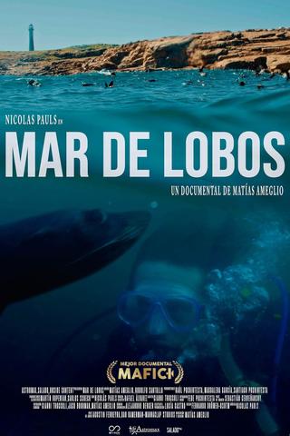 Mar de Lobos poster