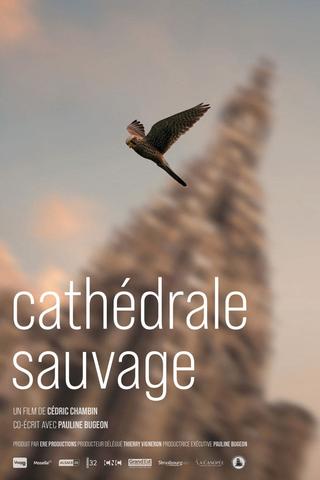 Cathédrale sauvage poster